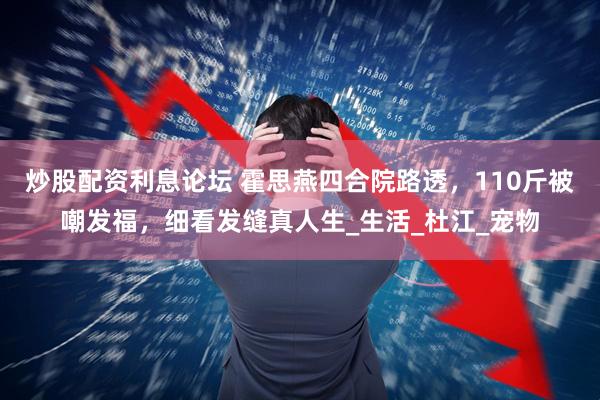 炒股配资利息论坛 霍思燕四合院路透，110斤被嘲发福，细看发缝真人生_生活_杜江_宠物
