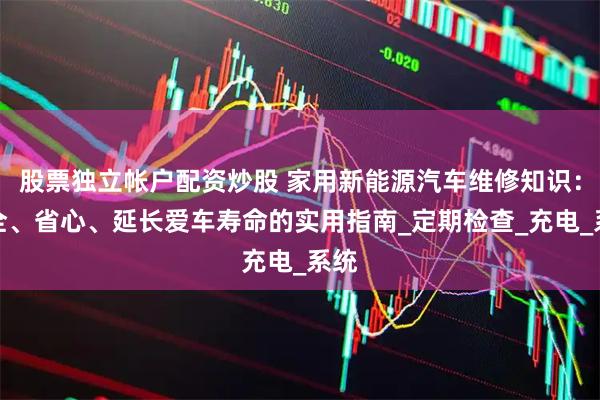 股票独立帐户配资炒股 家用新能源汽车维修知识：安全、省心、延长爱车寿命的实用指南_定期检查_充电_系统