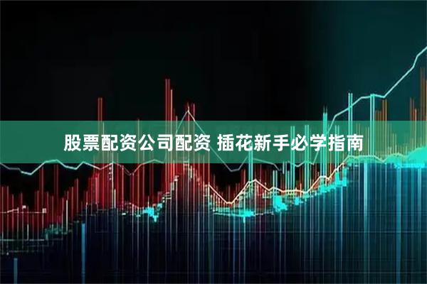 股票配资公司配资 插花新手必学指南